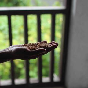  Experience the world as a weak person Promo Image