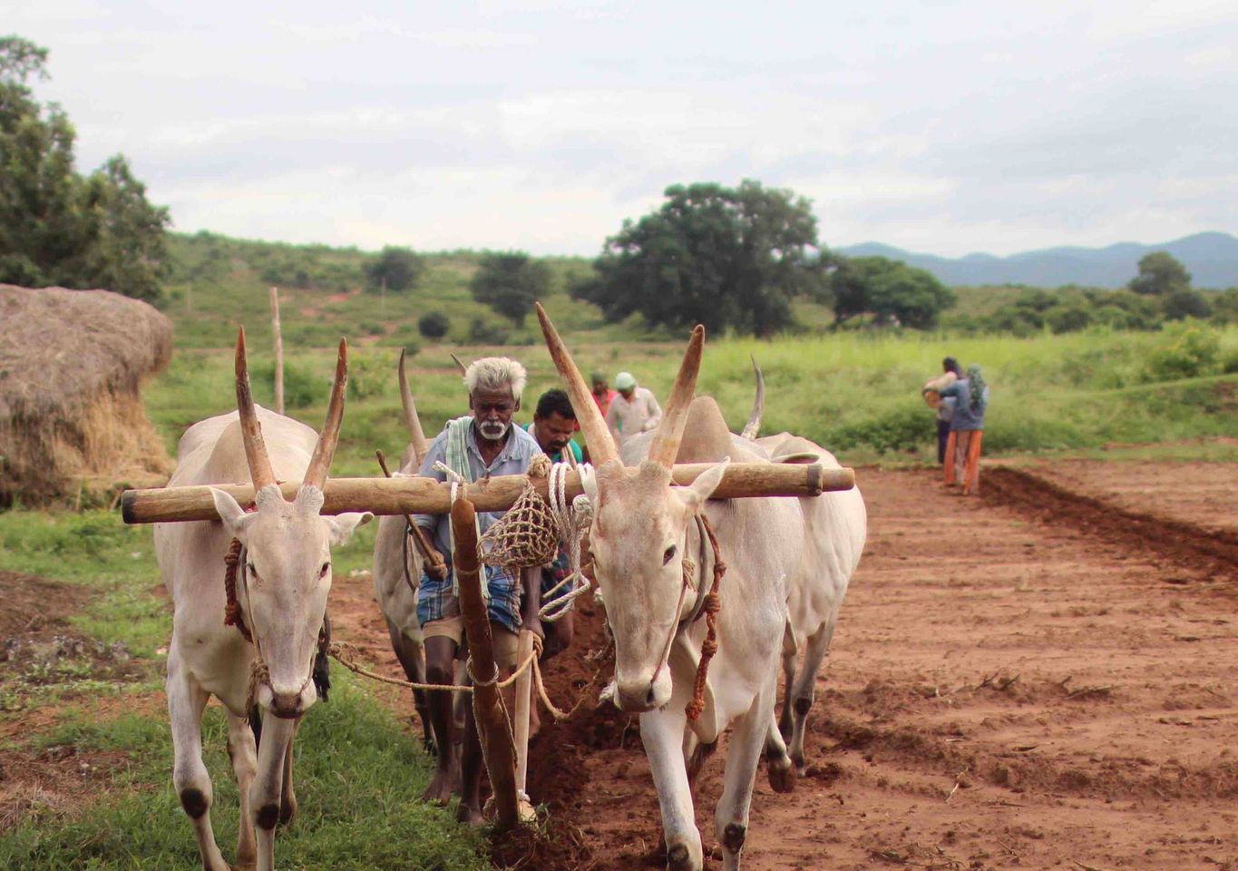 Video Abstract - Beyond bad weather:Climates of Uncertainty in Rural India by Tanya Matthan  Promo Image
