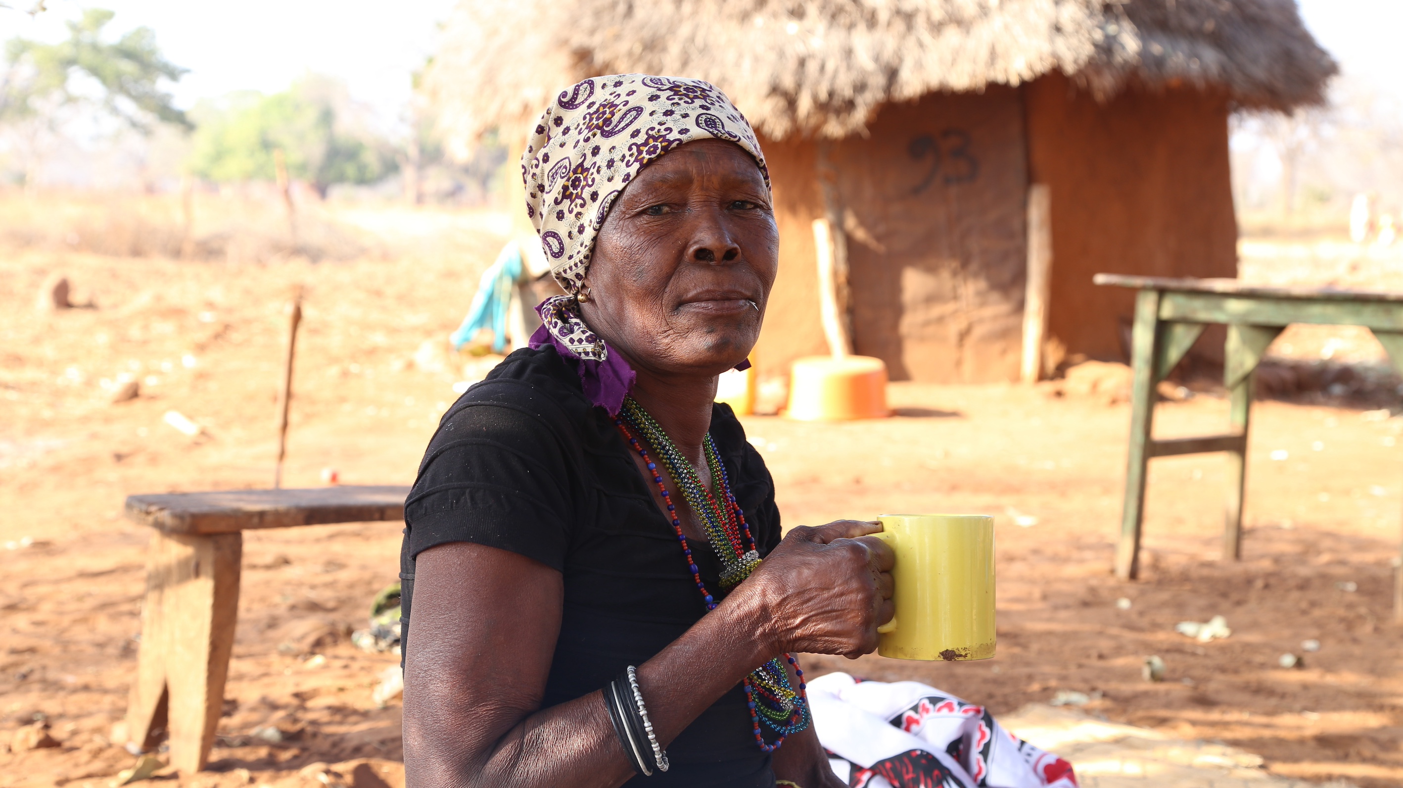 Video abstract - Participation is not the answer: epistemic violence and authoritarian practices in conservation-forced displacement Promo Image